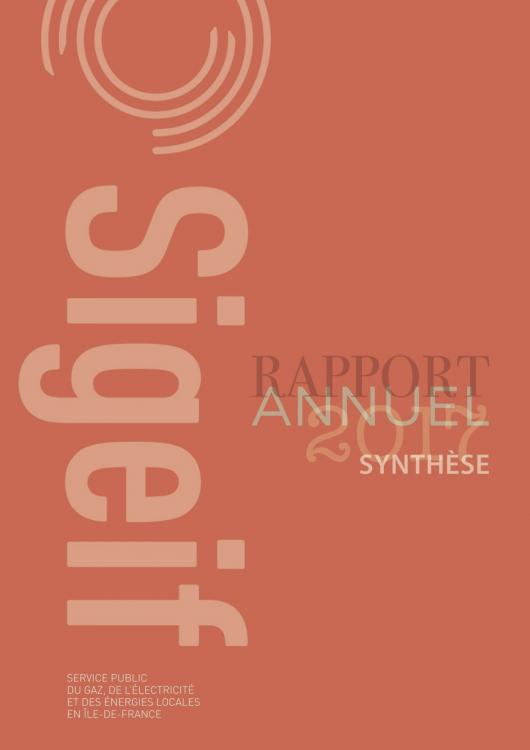 SYNTHÈSE RAPPORT ANNUEL 2017