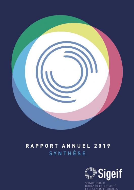 Synthèse Rapport d'activité 2019