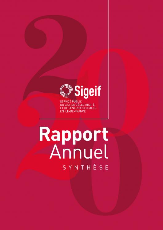 SYNTHÈSE RAPPORT ANNUEL 2020