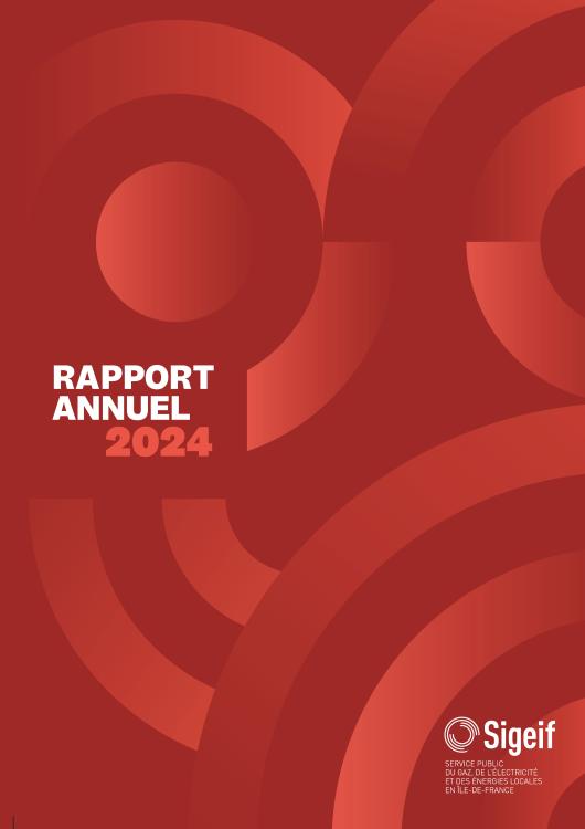 RAPPORT ANNUEL 2024