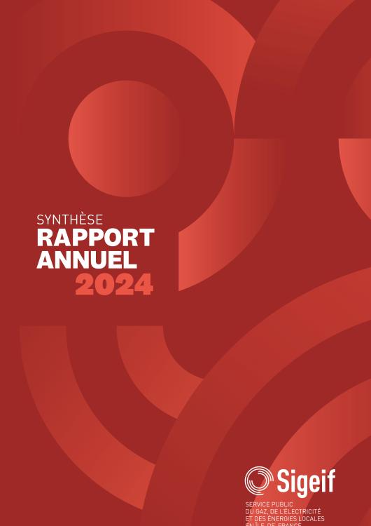 SYNTHÈSE DU RAPPORT ANNUEL 2024