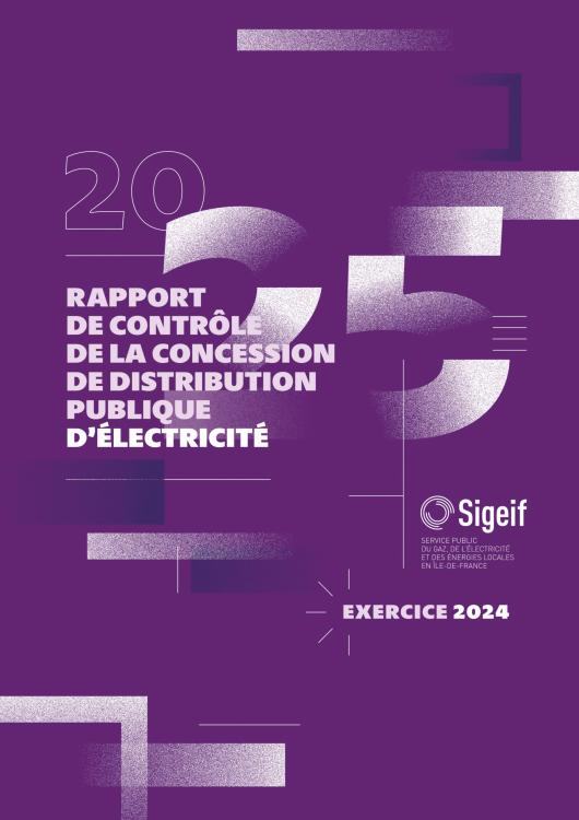 RAPPORT DE CONTRÔLE ÉLECTRICITÉ 2025